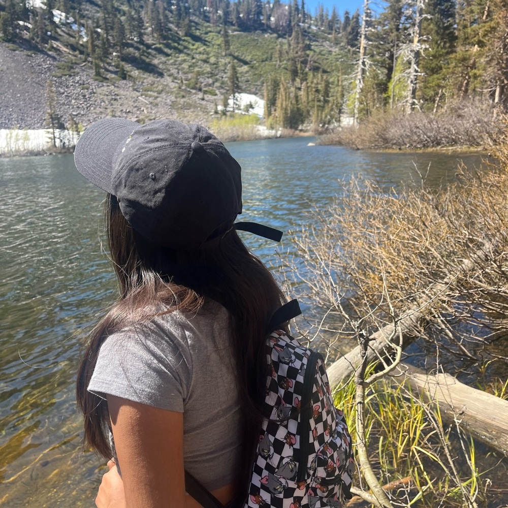 Meet your Posher, Ana